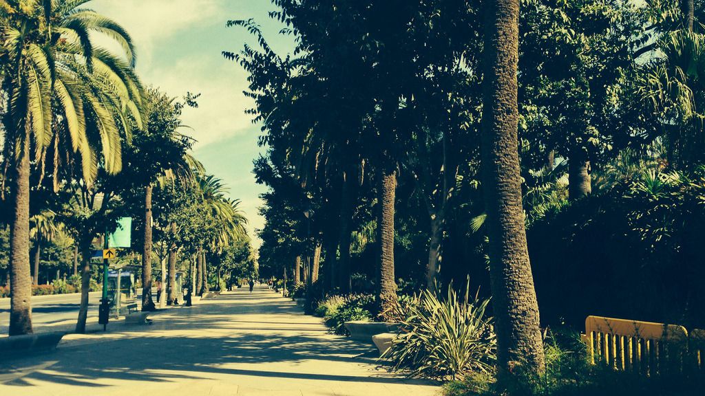 Microrrelato: la vida vacía