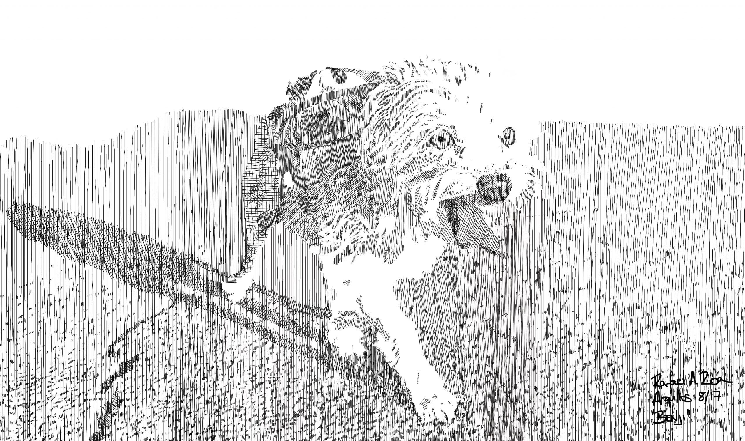 Serie sobre animales