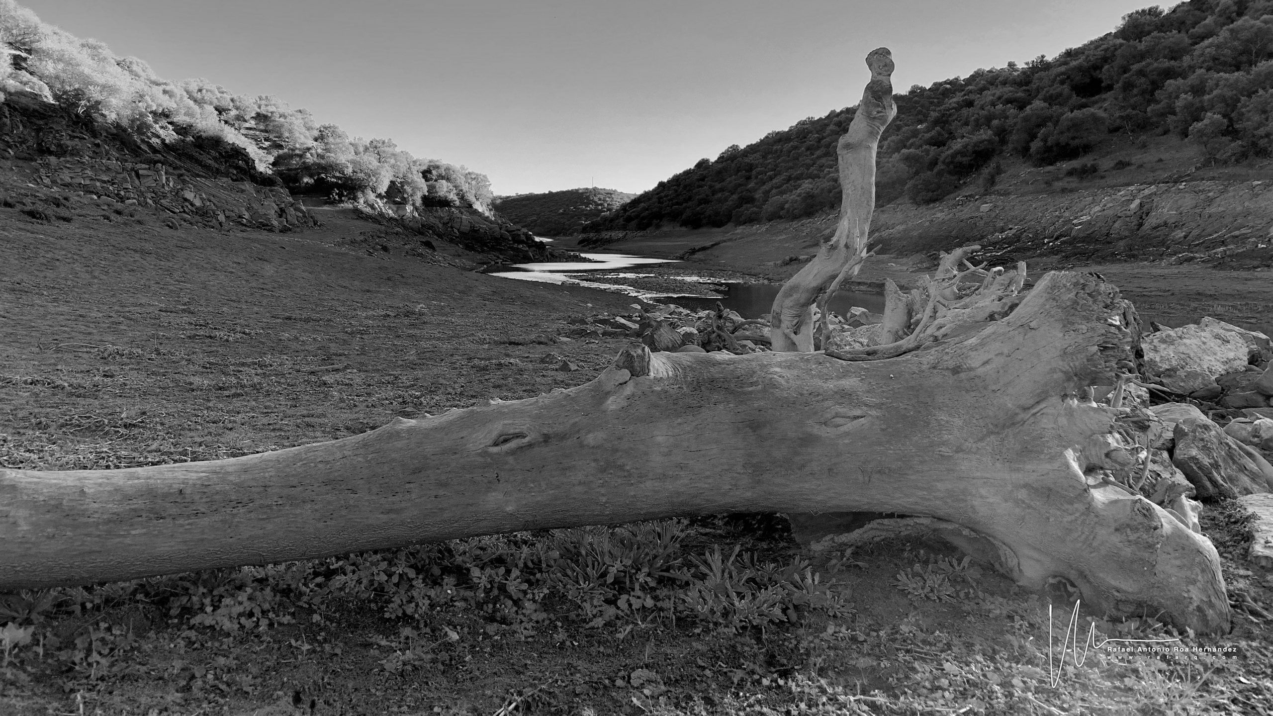 Testimonio de anulación